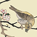 Zeshin Shibata Gallery